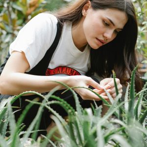 Aloe Vera, Equilibrio, Nutrizione e Bellezza