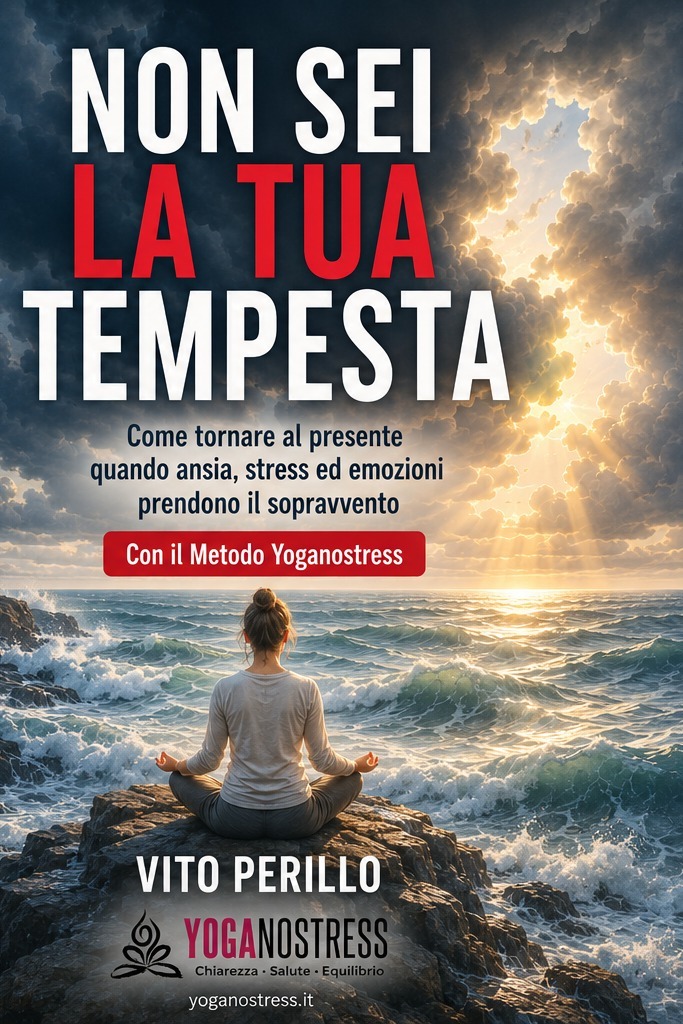 Copertina di NON SEI LA TUA TEMPESTA di Vito Perillo